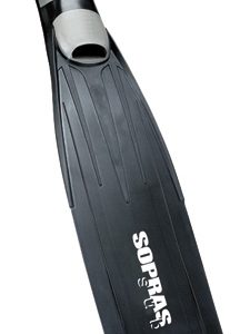 Spearfishing fins
