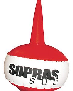 Standard buoy